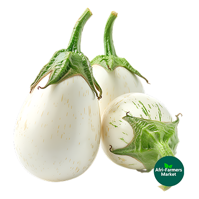 White Eggplant